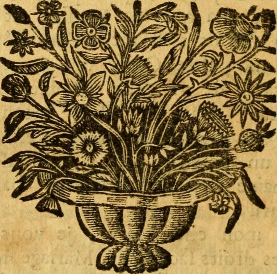 An illustration from Les oeuvres d'Ovide, 1697, leaf 201