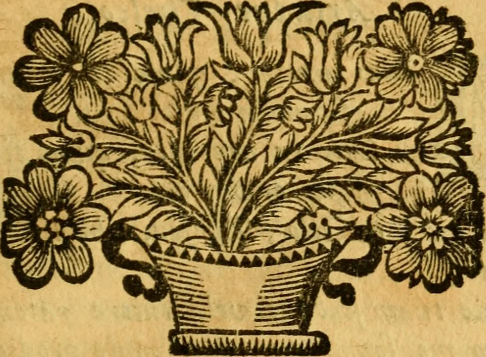 An illustration from Les oeuvres d'Ovide, 1697, leaf 202