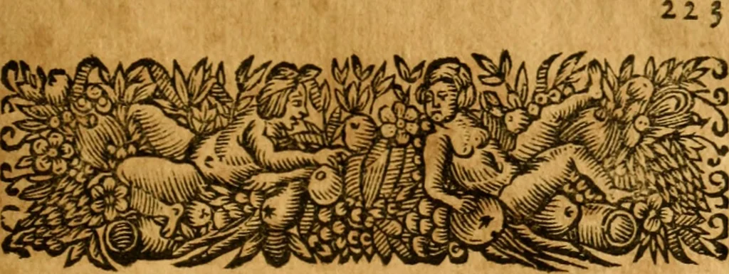 An illustration from Les oeuvres d'Ovide, 1697, leaf 260
