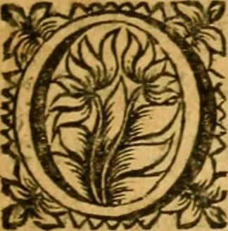 An illustration from Les oeuvres d'Ovide, 1697, leaf 28