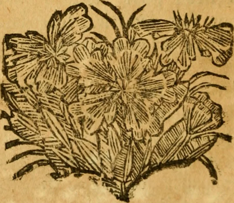 An illustration from Les oeuvres d'Ovide, 1697, leaf 293