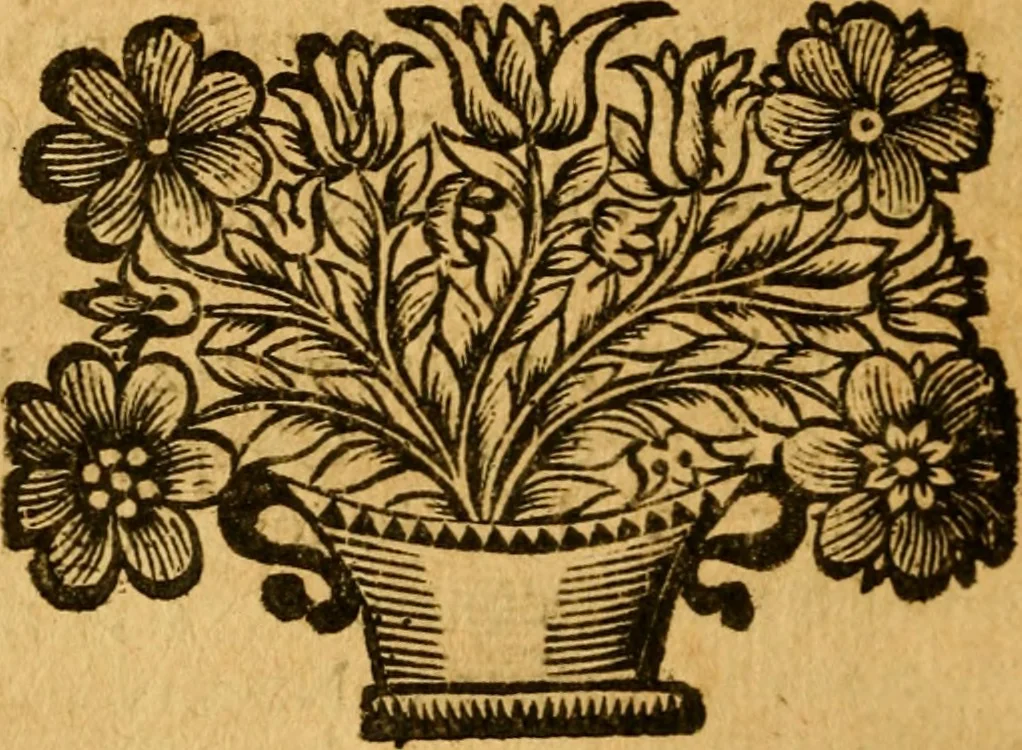 An illustration from Les oeuvres d'Ovide, 1697, leaf 335
