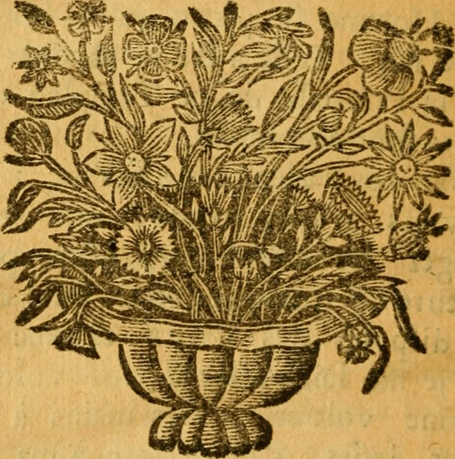 An illustration from Les oeuvres d'Ovide, 1697, leaf 477