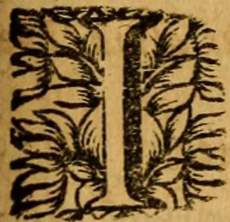An illustration from Les oeuvres d'Ovide, 1697, leaf 194
