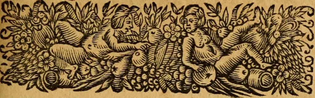An illustration from Les oeuvres d'Ovide, 1697, leaf 284