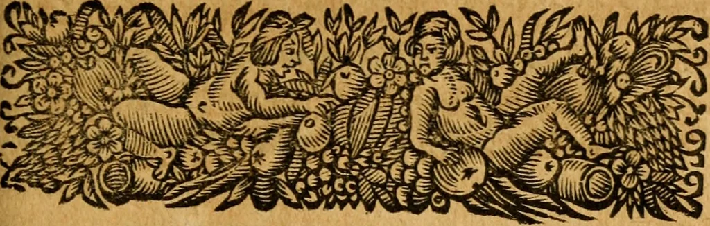 An illustration from Les oeuvres d'Ovide, 1697, leaf 332