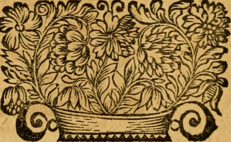 An illustration from Les oeuvres d'Ovide, 1697, leaf 289