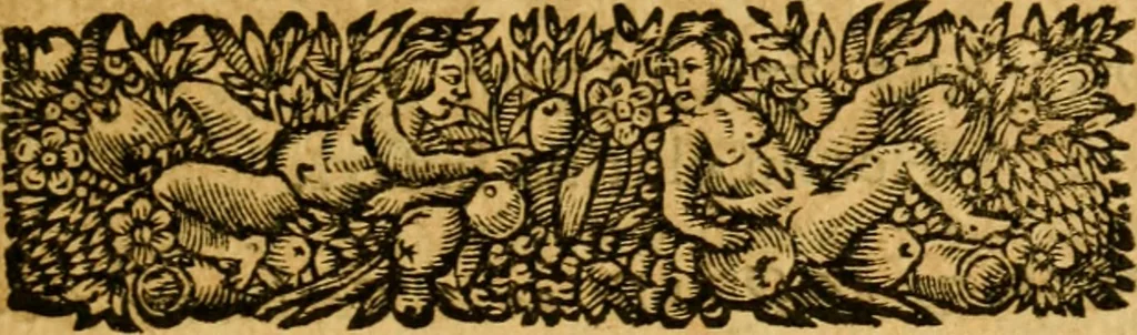 An illustration from Les oeuvres d'Ovide, 1697, leaf 36