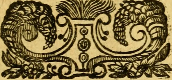 An illustration from Les oeuvres d'Ovide, 1697, leaf 384