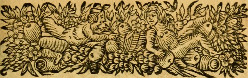 An illustration from Les oeuvres d'Ovide, 1697, leaf 386