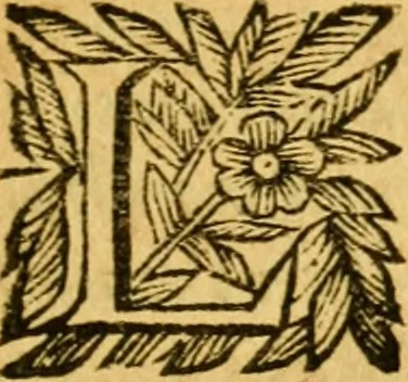 An illustration from Les oeuvres d'Ovide, 1697, leaf 478