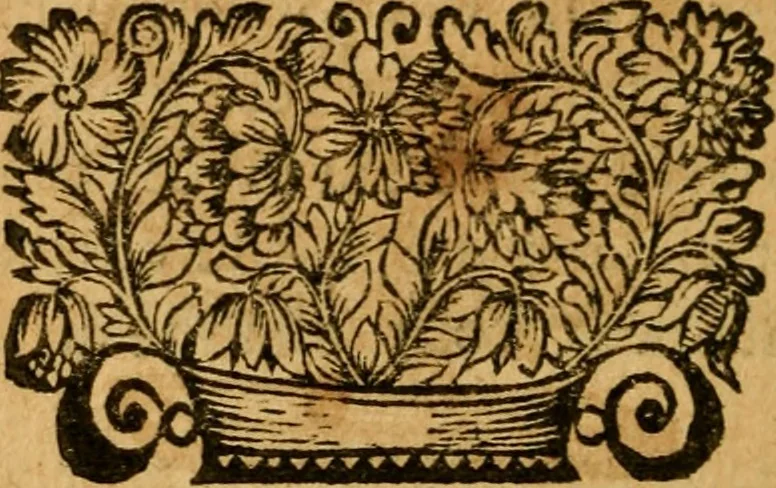 An illustration from Les oeuvres d'Ovide, 1697, leaf 305