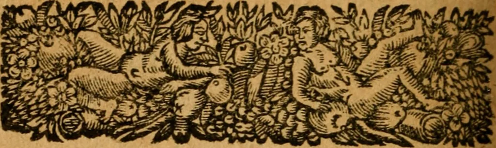 An illustration from Les oeuvres d'Ovide, 1697, leaf 307