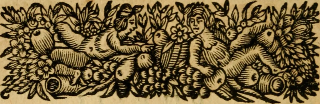 An illustration from Les oeuvres d'Ovide, 1697, leaf 31