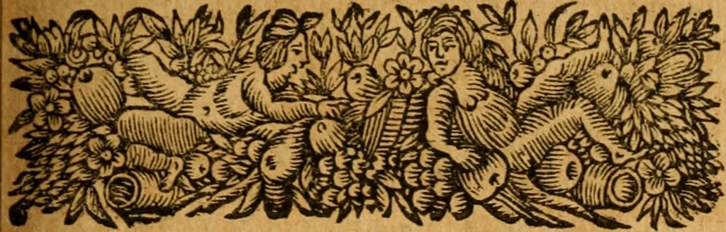 An illustration from Les oeuvres d'Ovide, 1697, leaf 310