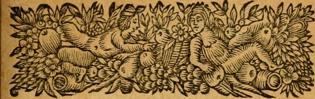 An illustration from Les oeuvres d'Ovide, 1697, leaf 414
