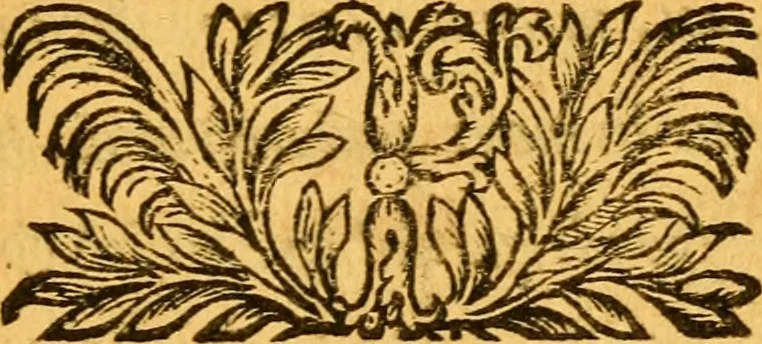 An illustration from Les oeuvres d'Ovide, 1697, leaf 268
