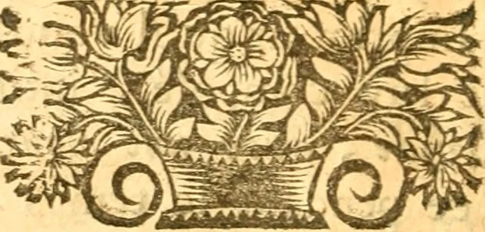 An illustration from Les oeuvres d'Ovide, 1697, leaf 17