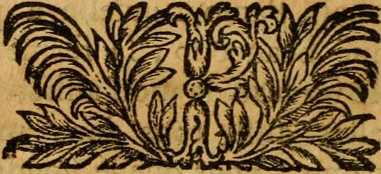 An illustration from Les oeuvres d'Ovide, 1697, leaf 209
