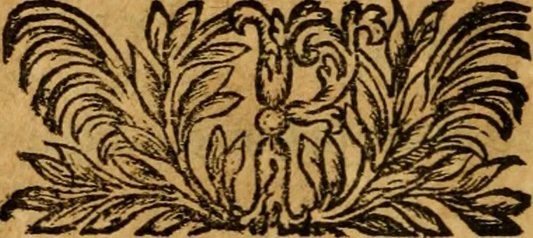 An illustration from Les oeuvres d'Ovide, 1697, leaf 217