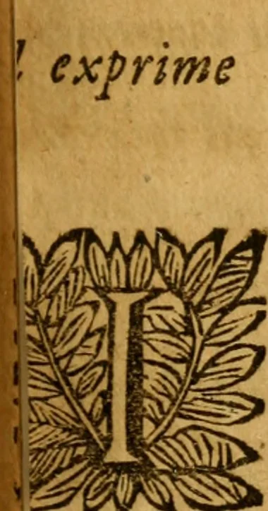 An illustration from Les oeuvres d'Ovide, 1697, leaf 234