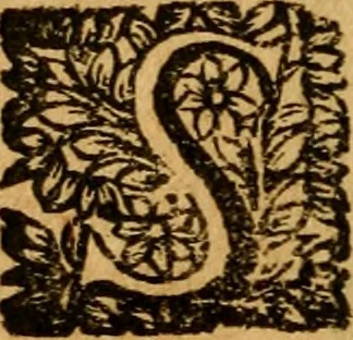 An illustration from Les oeuvres d'Ovide, 1697, leaf 255
