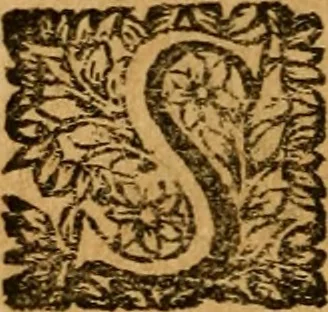An illustration from Les oeuvres d'Ovide, 1697, leaf 355