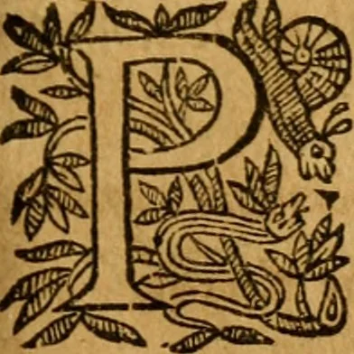 An illustration from Les oeuvres d'Ovide, 1697, leaf 362