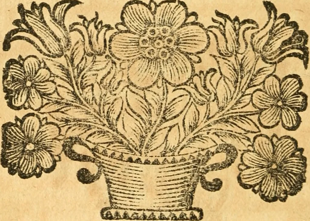 An illustration from Les oeuvres d'Ovide, 1697, leaf 105