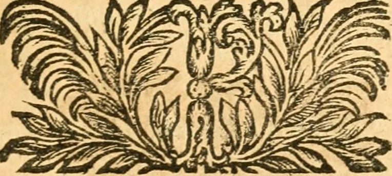 An illustration from Les oeuvres d'Ovide, 1697, leaf 114