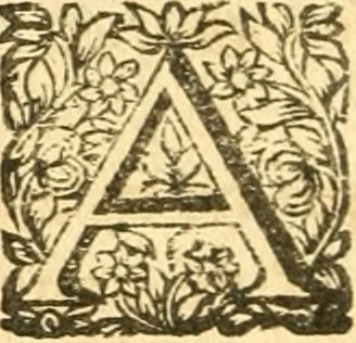 An illustration from Les oeuvres d'Ovide, 1697, leaf 157