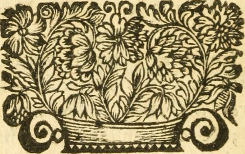 An illustration from Les oeuvres d'Ovide, 1697, leaf 17