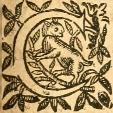 An illustration from Les oeuvres d'Ovide, 1697, leaf 174