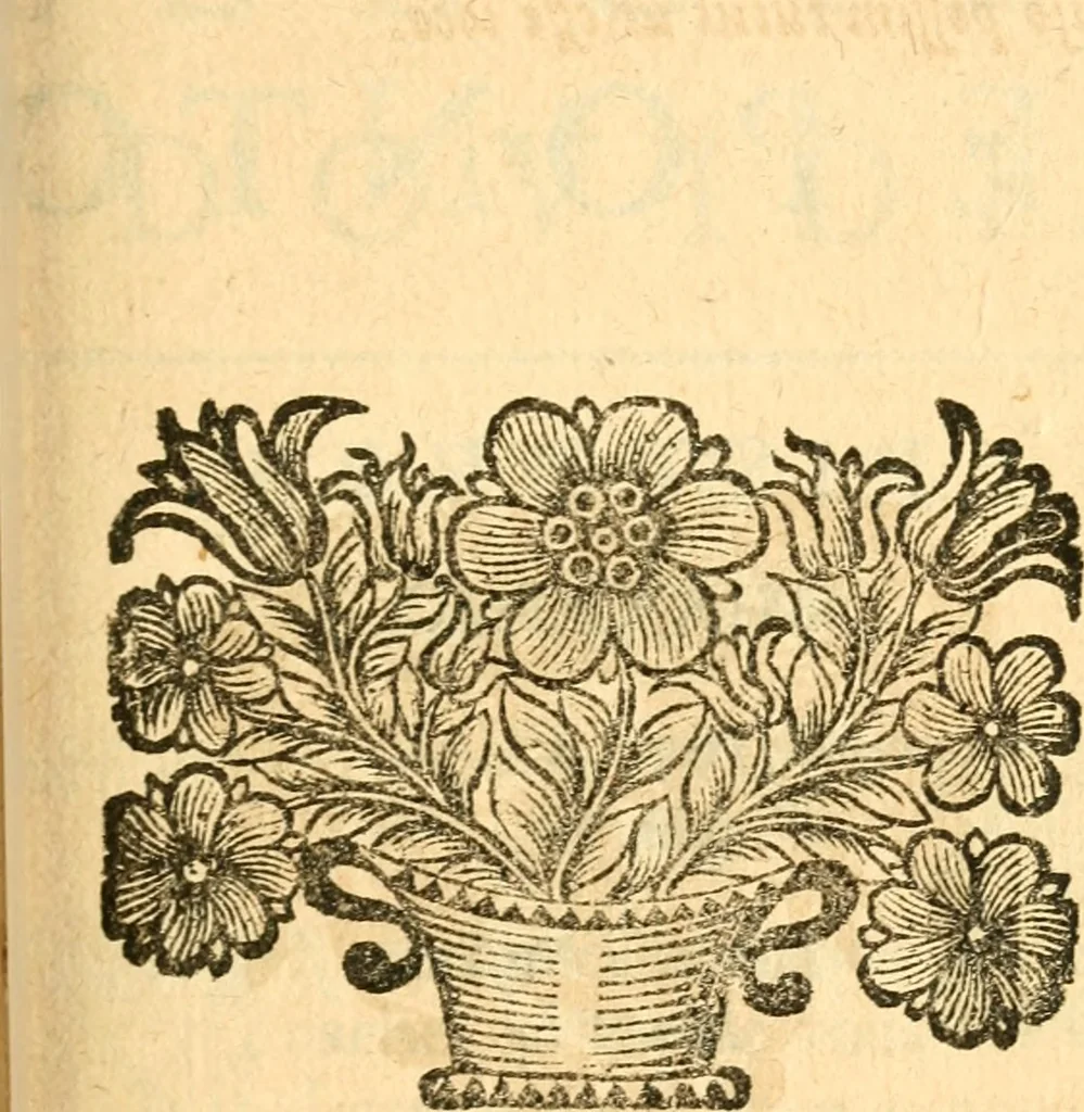 An illustration from Les oeuvres d'Ovide, 1697, leaf 208