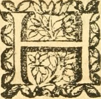 An illustration from Les oeuvres d'Ovide, 1697, leaf 217