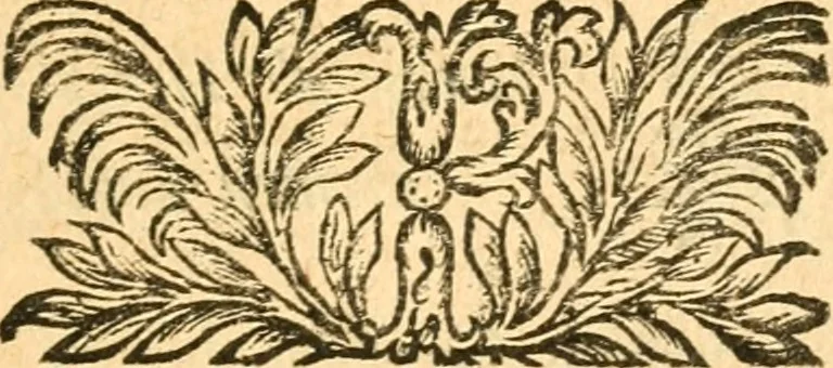 An illustration from Les oeuvres d'Ovide, 1697, leaf 288