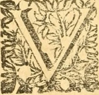 An illustration from Les oeuvres d'Ovide, 1697, leaf 297