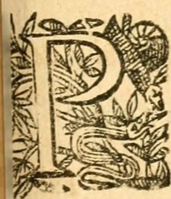 An illustration from Les oeuvres d'Ovide, 1697, leaf 316