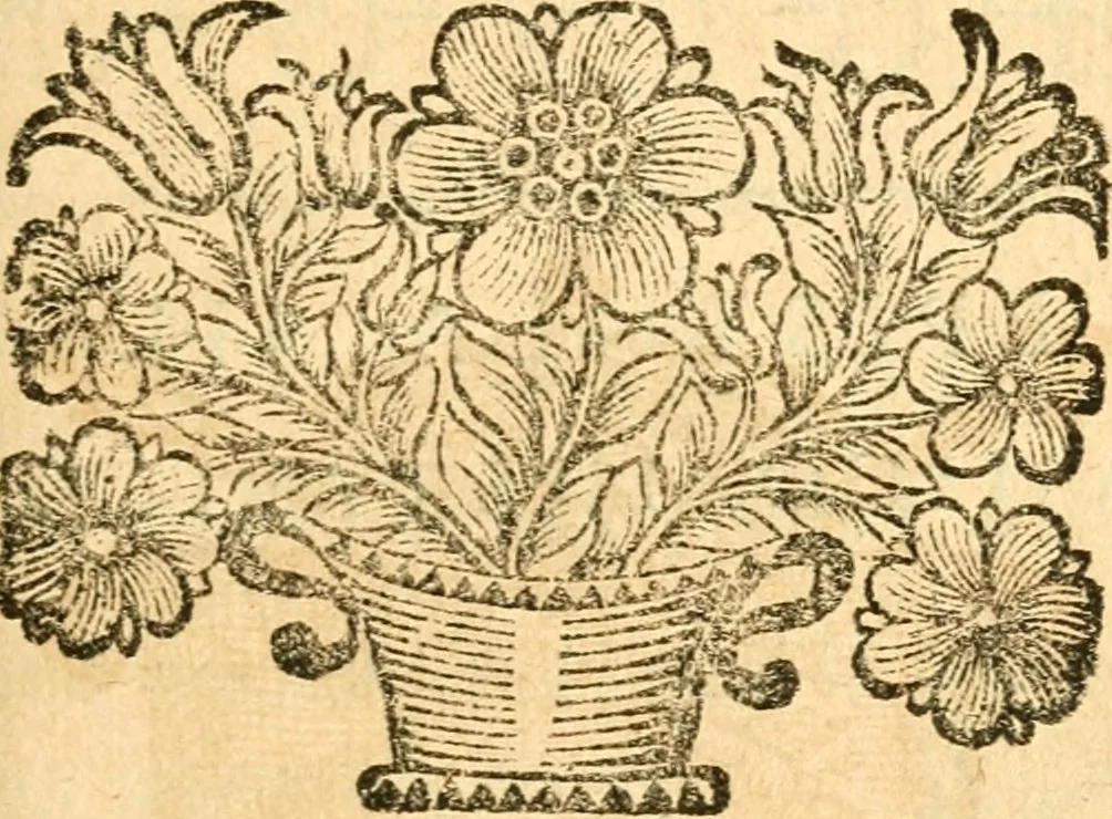 An illustration from Les oeuvres d'Ovide, 1697, leaf 328