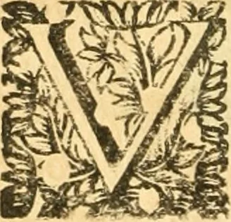 An illustration from Les oeuvres d'Ovide, 1697, leaf 377