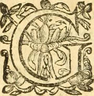 An illustration from Les oeuvres d'Ovide, 1697, leaf 403