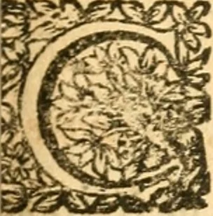 An illustration from Les oeuvres d'Ovide, 1697, leaf 68