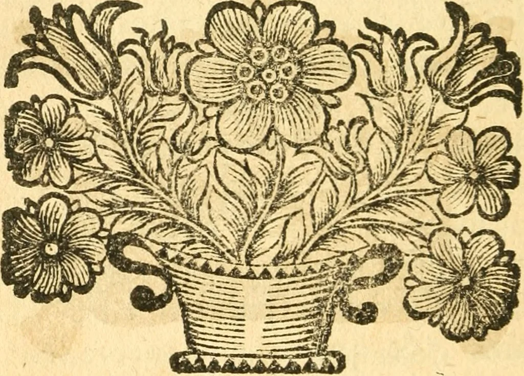 An illustration from Les oeuvres d'Ovide, 1697, leaf 77