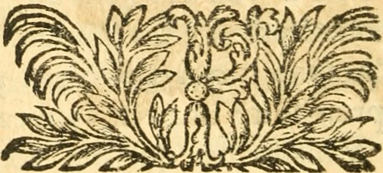 An illustration from Les oeuvres d'Ovide, 1697, leaf 85