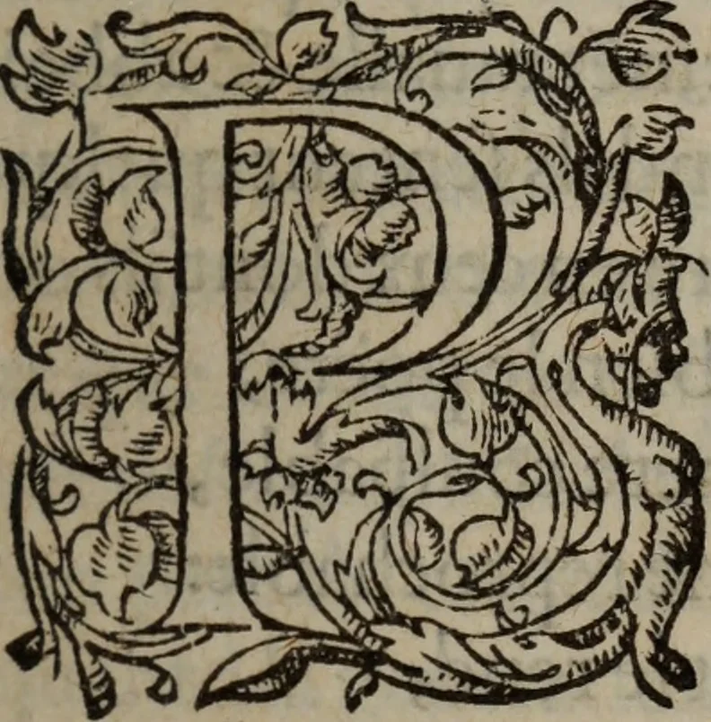 An illustration from Les Oeuvres morales et meslees, 1574, leaf 30
