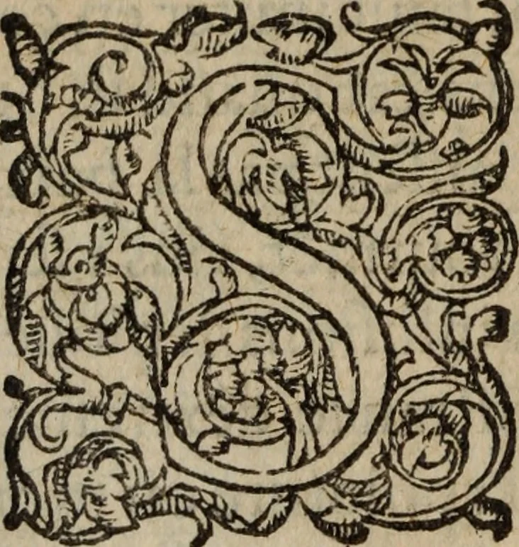 An illustration from Les Oeuvres morales et meslees, 1574, leaf 305