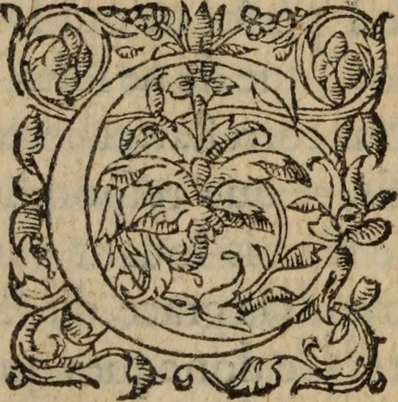 An illustration from Les Oeuvres morales et meslees, 1574, leaf 435