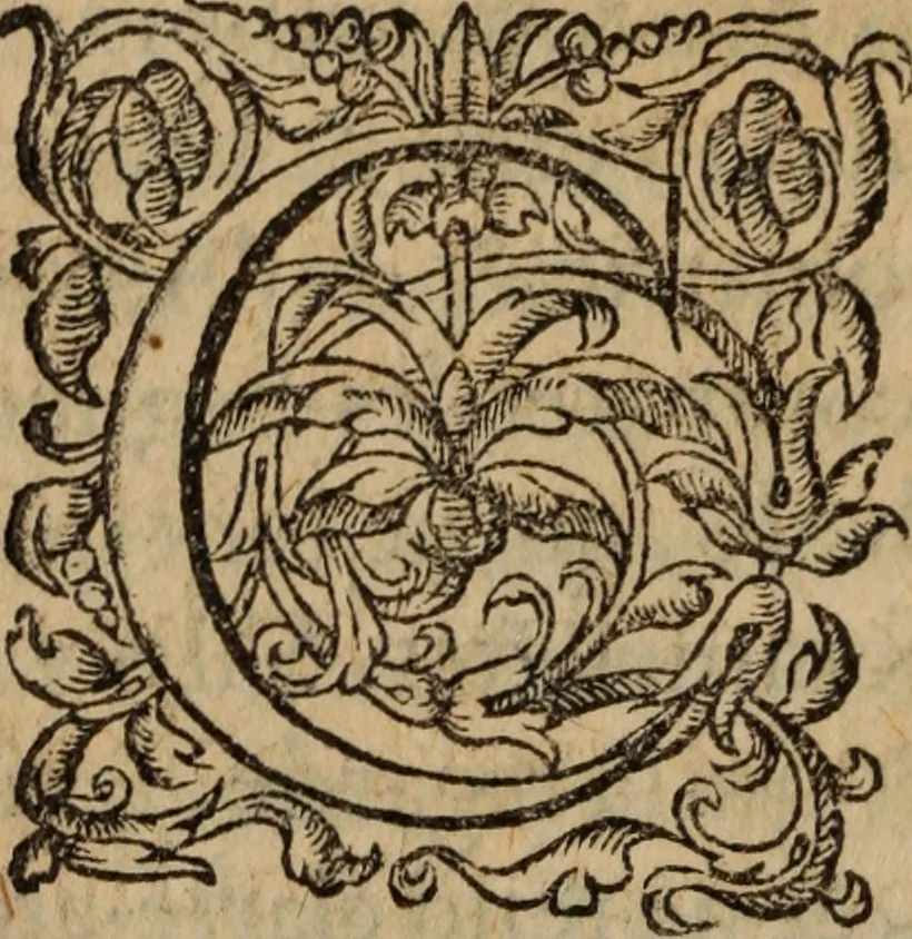 An illustration from Les Oeuvres morales et meslees, 1574, leaf 535