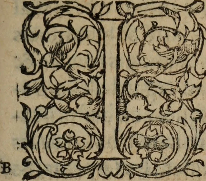 An illustration from Les Oeuvres morales et meslees, 1574, leaf 572