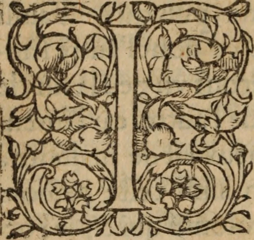 An illustration from Les Oeuvres morales et meslees, 1574, leaf 579
